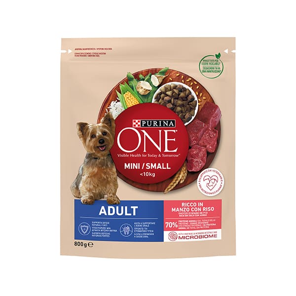 Purina one dog mini best sale